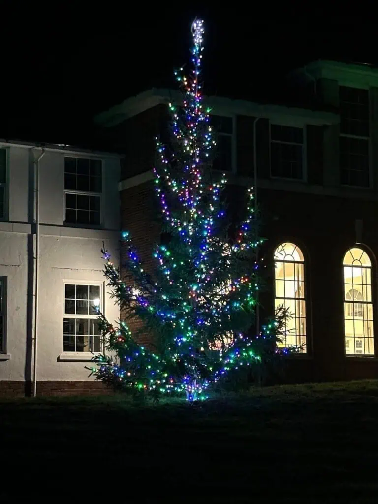 Colourful outdoor Christmas tree illuminated with multicoloured lights at night, situated beside modern residential buildings with lit windows in the background.